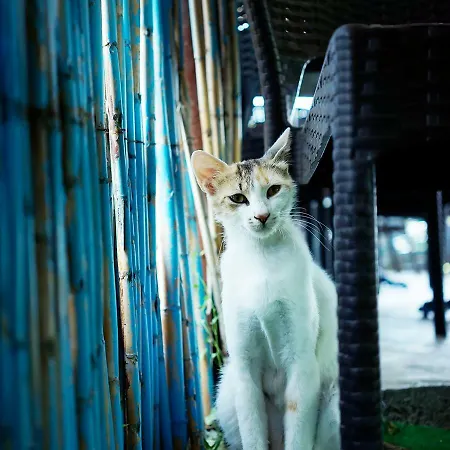 Hotel Batihan İmroz