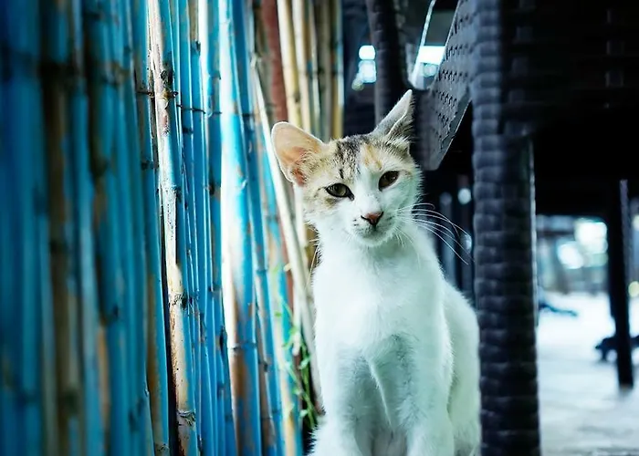 Hotel Batihan İmroz